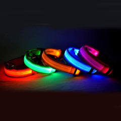 Nylon LED  Pet Supplies