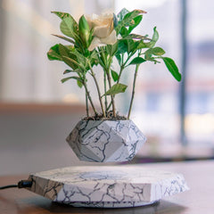 Levitating Marble Plant Pot for Home & Office.