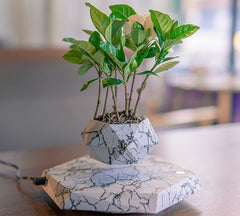 Levitating Marble Plant Pot for Home & Office.