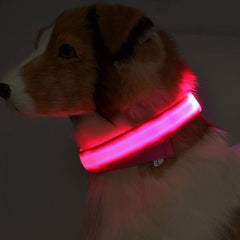 Nylon LED  Pet Supplies