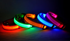 Nylon LED  Pet Supplies